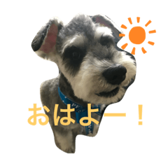 sayuloa_20200422033910