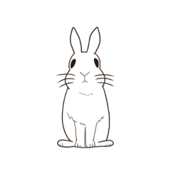 suzu_20200422174542