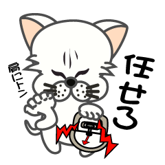 Cross facial cat Japanese sign language1