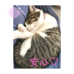 Risa_20200422140849