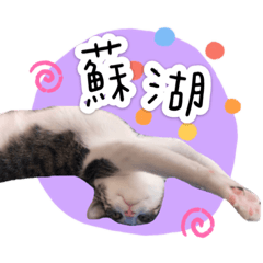 黏黏肥肥拉拉豆皮全家福