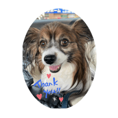 maaaaayuuuuuu_20200422163045