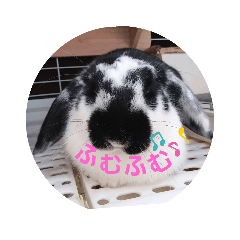 marina_20200422184951