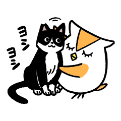cat mion with owl galileo