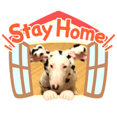 hikari_20200420133227