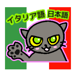 Italian and Japanese cat