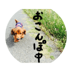 ken_20200422193845
