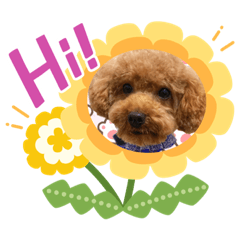 我是炸雞謝謝大家