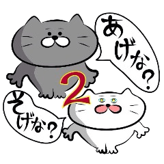 Cat of the Yonago dialect2