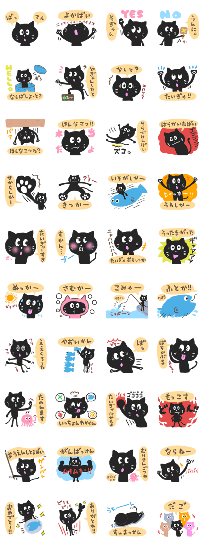 KUMAMOTO BLACK CAT