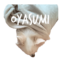 saran STAMP 4