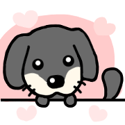kokoa dog