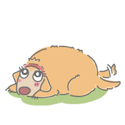 Ms.Didi The Fluffy Golden Retriever