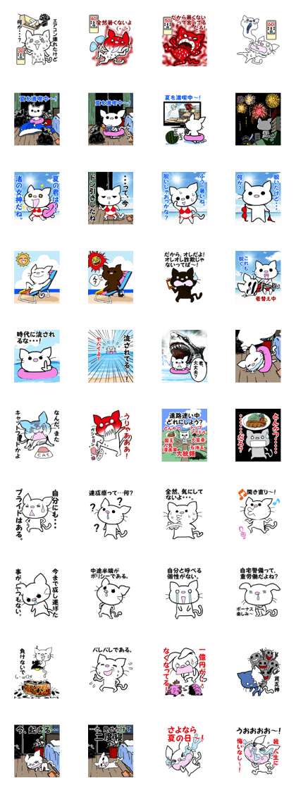 white pig cat 2