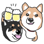 Shiba inu(Shiba ken)Nico&Chaco