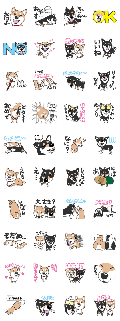 Shiba inu(Shiba ken)Nico&Chaco