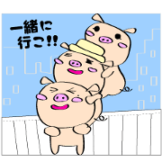 3 pigs