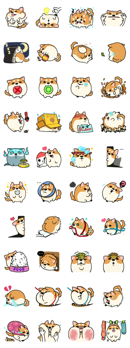 riceman-awa shiba life