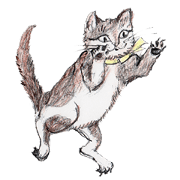 Cats Caricatures