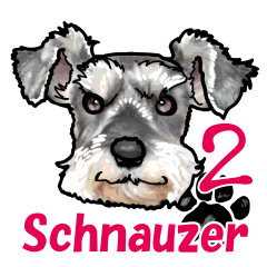 Miniature Schnauzer -2-