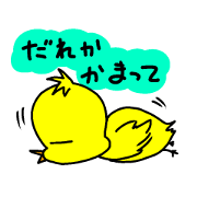 PIYOPPY