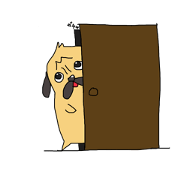 like a pug dog