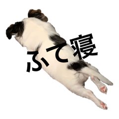 hazuhazu_20200422195716