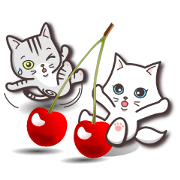 Vivid color! cute cat small snow series