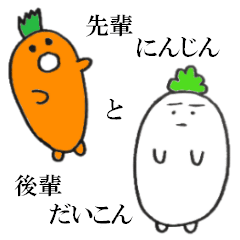 Older Carrot & Younger Radish