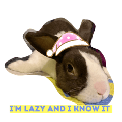P Moo V1