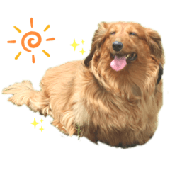 YuKaRi_20200420011909