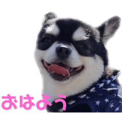 KEN_20200422233207