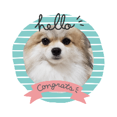 Kurumi_20200421132826