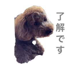 rukiyan_2020