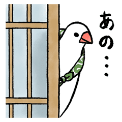 ふろしき文鳥 Line スタンプ Line Store