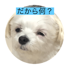 takashi_20200422230347