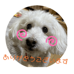 nanami_20200423001536