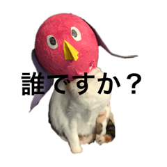 nozomi_20200423085630