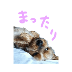 tori_20200423023432