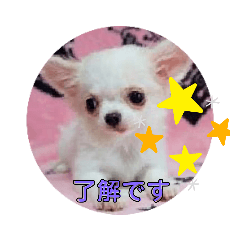 mitiko_20200423110012