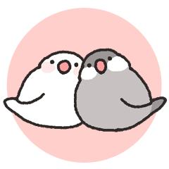 Java sparrow's every day