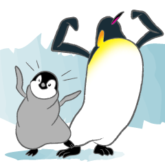 Penguin Colony 2