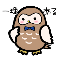 Owl wearing a bow tie