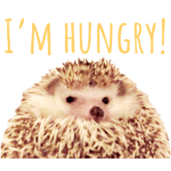 歐歐好可愛所以當封面