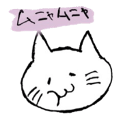 Cat feelings