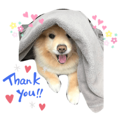 Lucky Richie Rubsub Smooth