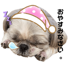 yuka_20200422230841