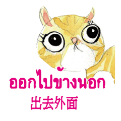 Thai Thailand and Chinese106
