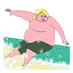 FAT SURFER