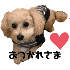 Sally_20200423005121